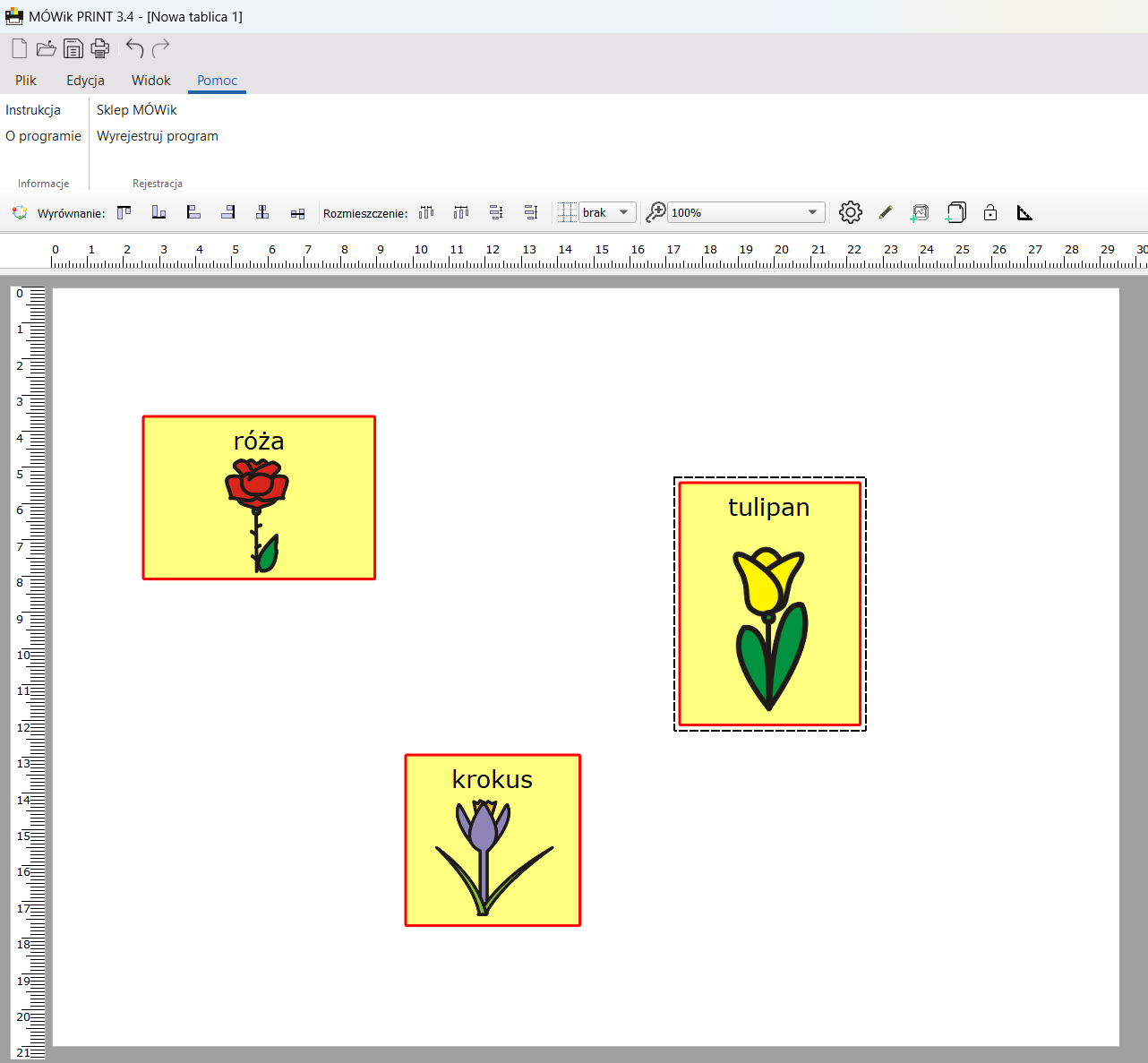 MÓWik PRINT 3.4 program do edycji i drukowania symboli - obrazek 13